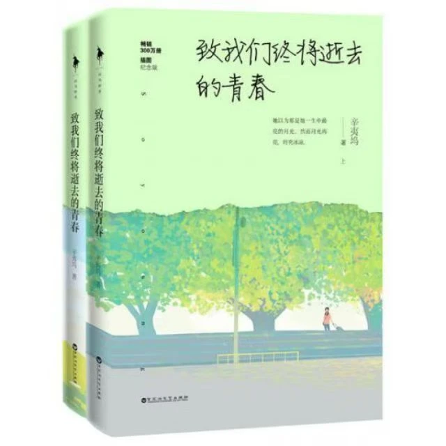 【文墨】微瑕 致我们终将逝去的青春 上下（全两册） 辛夷坞