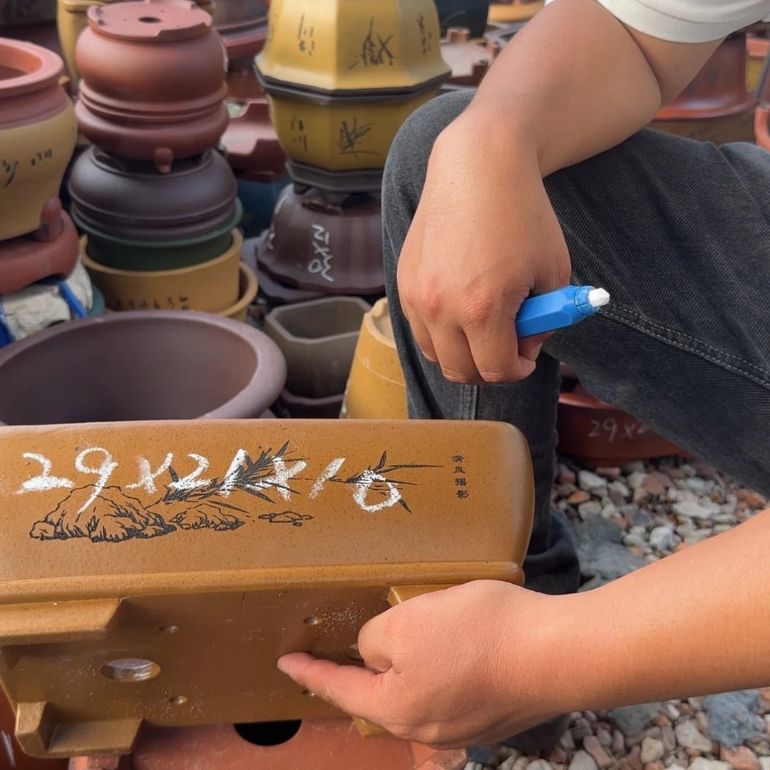 紫砂花盆紫砂花盆花盆盆景盆栽