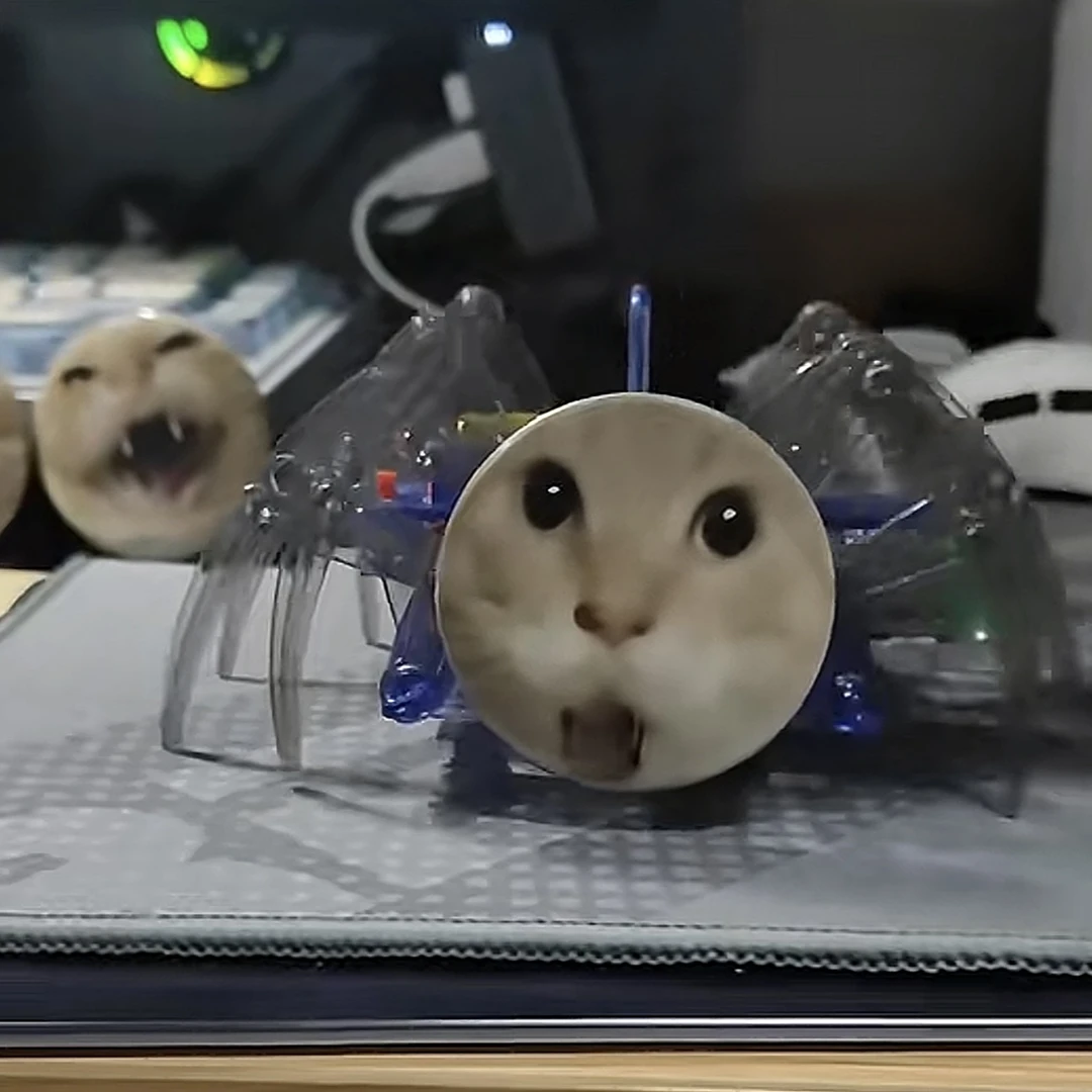耄耋蜘蛛猫猫diy材料包手工制作猫meme电动蜘蛛机器人动物模型款