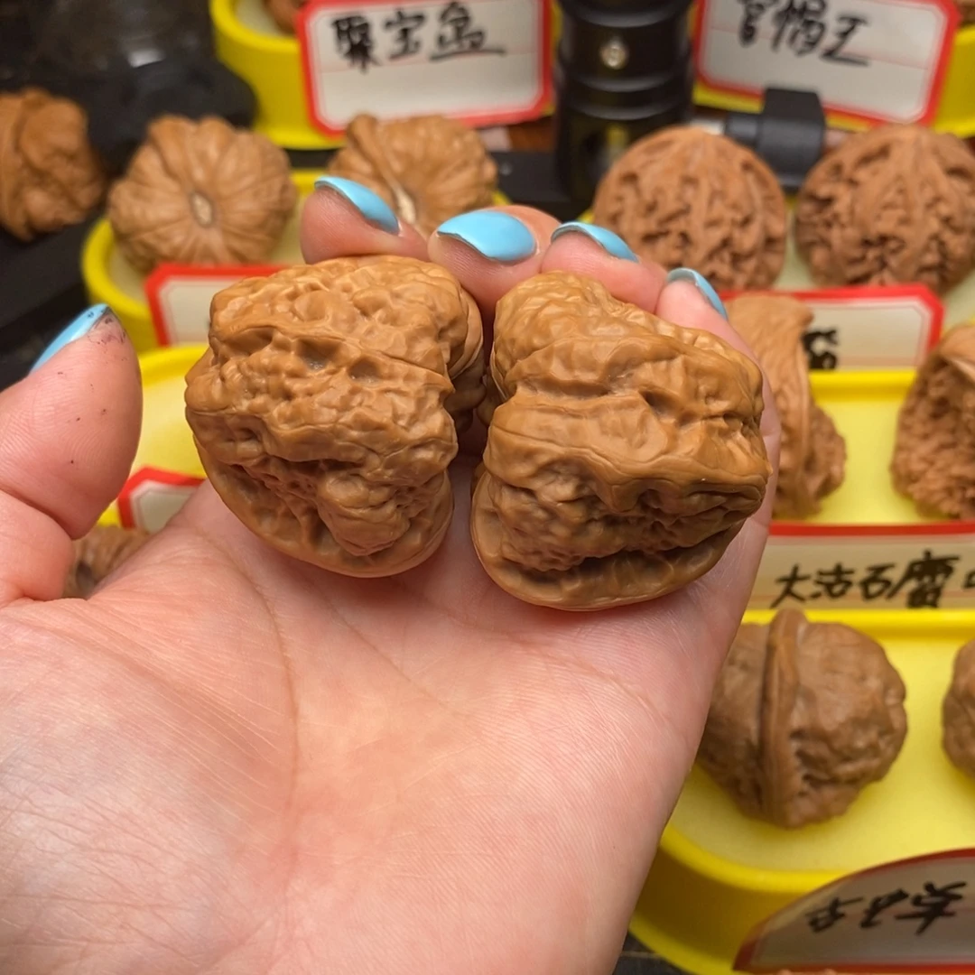菩提籽类三角蛙蛙