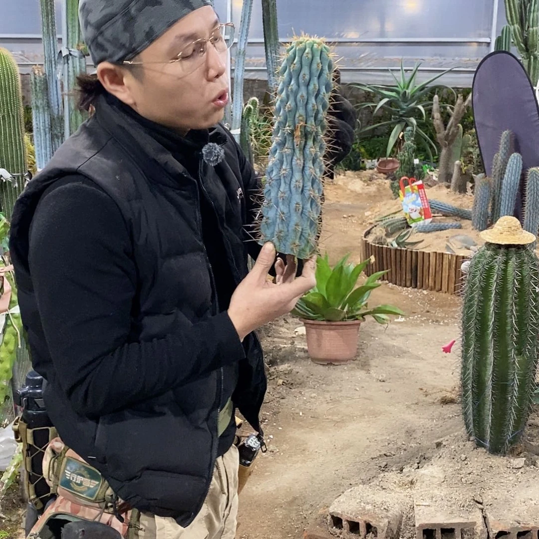 坚***尼16号拍品。