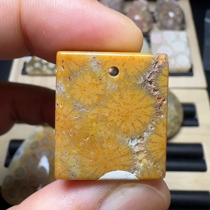 硅化珊瑚（珊瑚玉）未镶嵌纯天然色有机玉石保真色