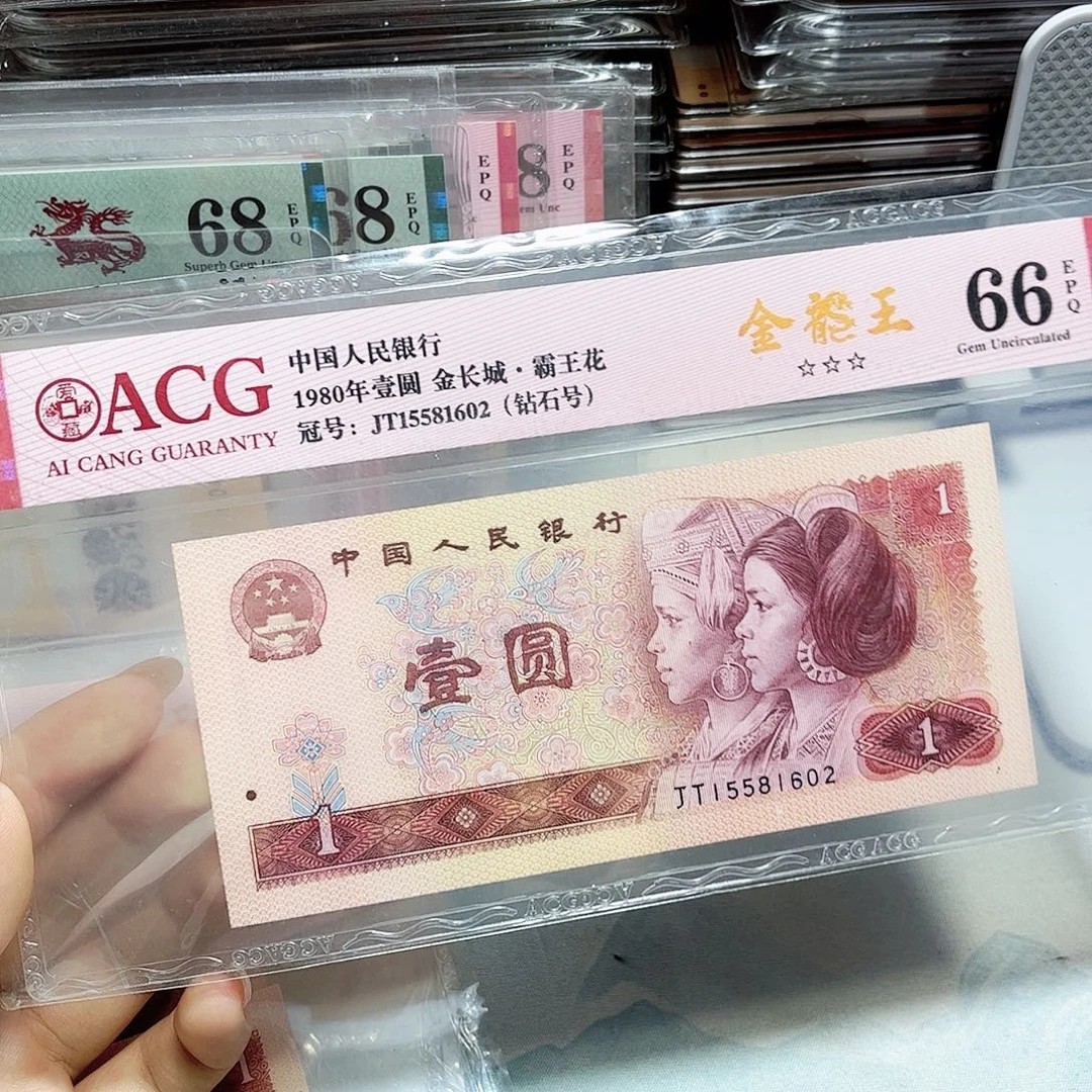 15581602。。。。。金龙王