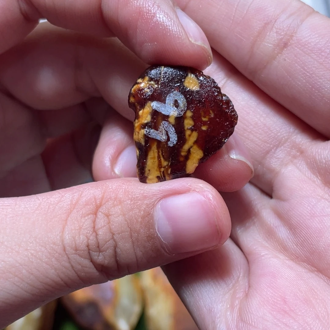 定制琥珀天然原矿