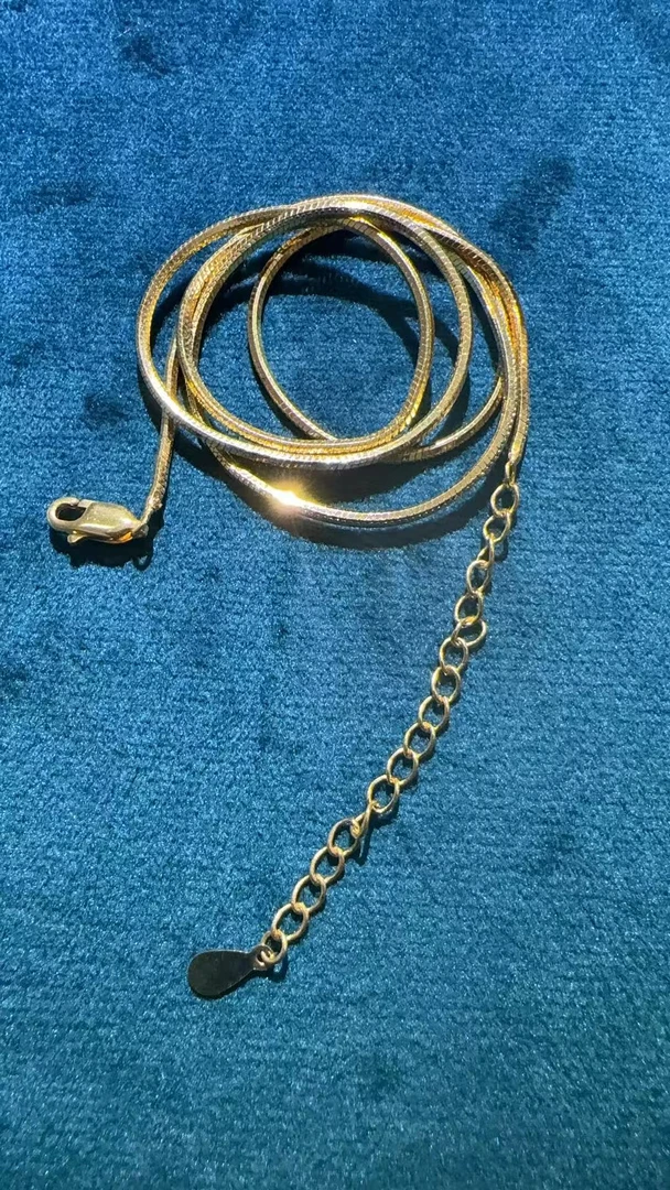 原创精工小众蛇骨项链Ht24381