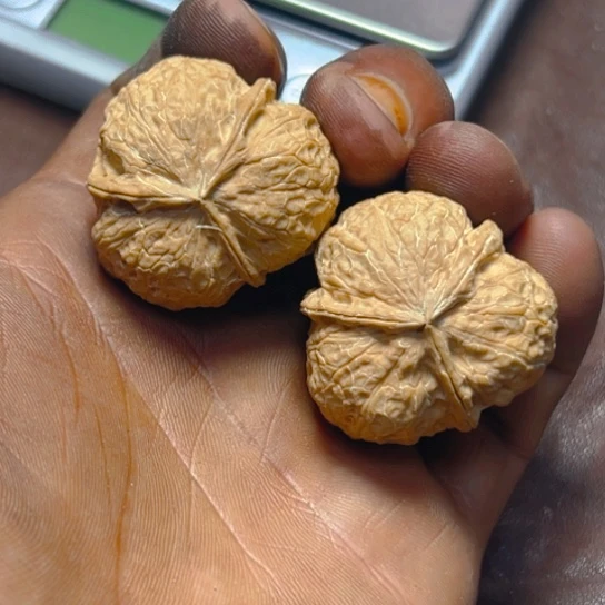 把件文玩核桃卡37蚂蚱头三弟30号