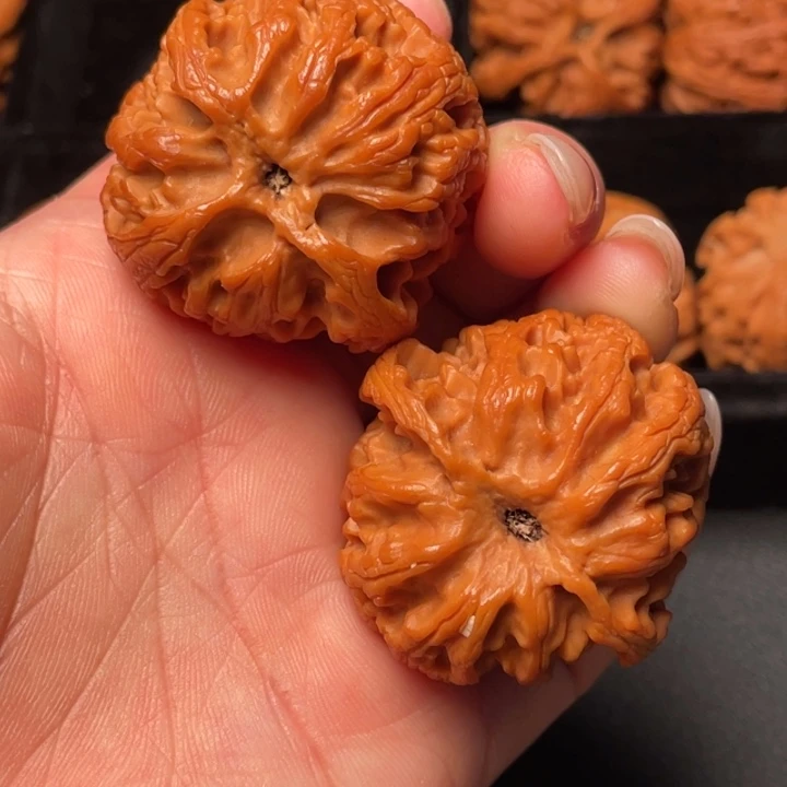 文玩核桃把件秦岭野生核桃