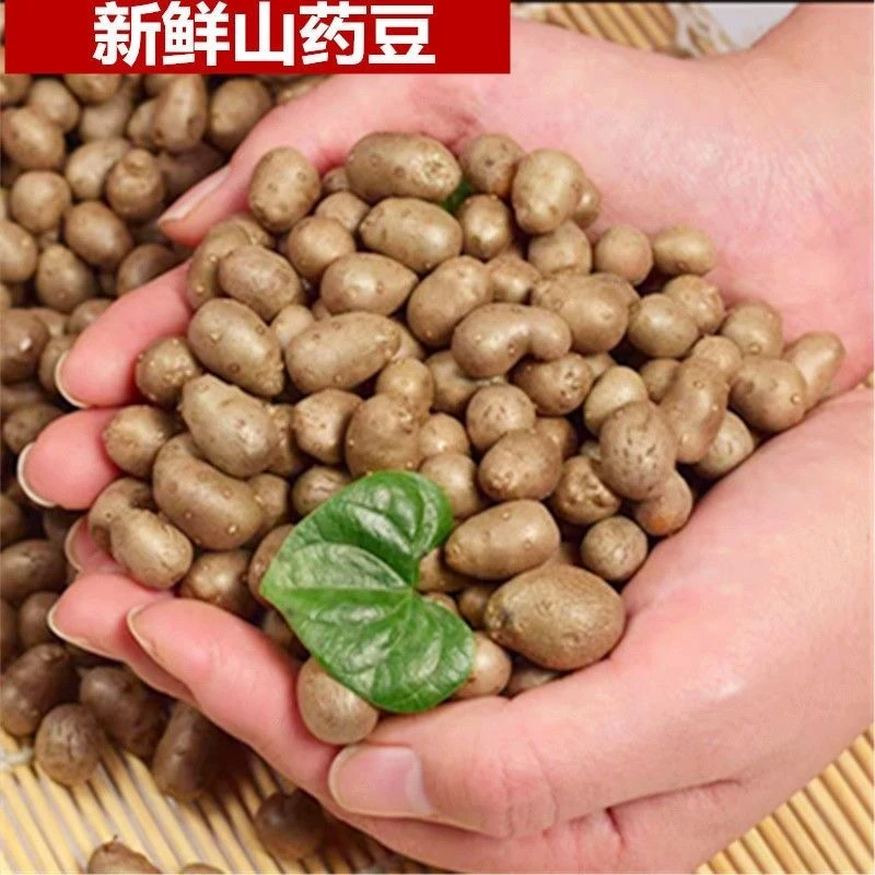 铁棍山药豆好吃营养价值高五斤发货