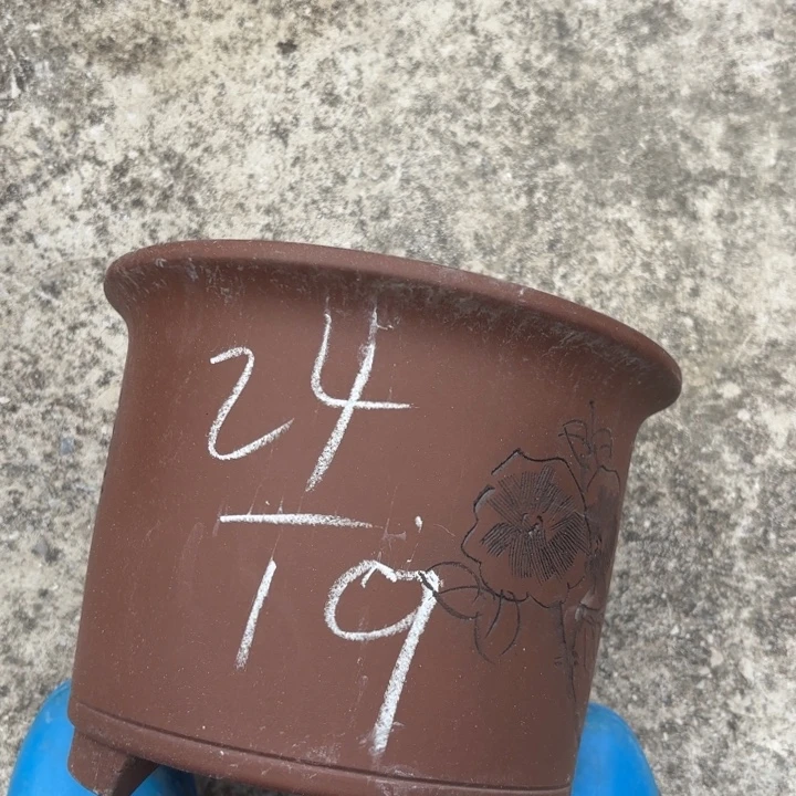 紫砂花盆紫砂的花