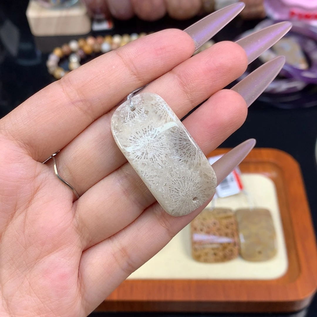 【闪购商品】颈饰未镶嵌硅化珊瑚（珊瑚玉）