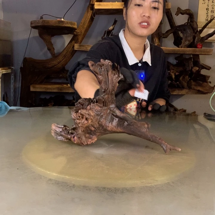 小***儿天然的云南紫柚木会黄水