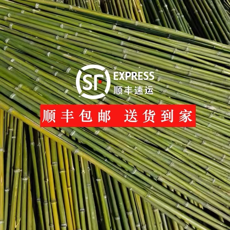 顺丰包邮竹竿菜园搭架蔬菜黄瓜番茄豆角架杆竹篱笆栅栏小竹子竹竿