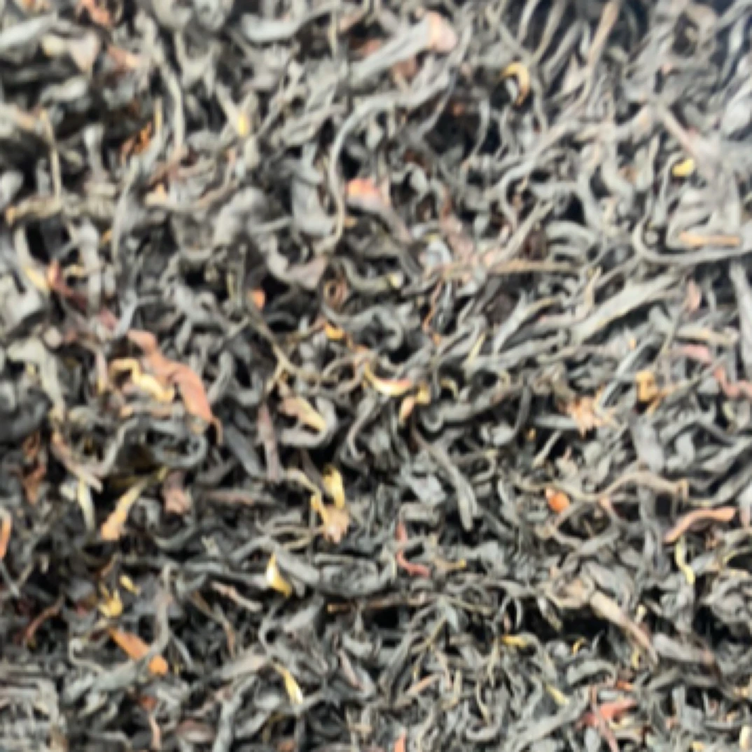 2025年赵正晗家野生单株红茶4.3公斤