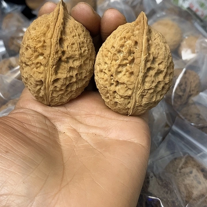 核桃云南铁核桃基地46
