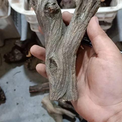 富***酒大果紫檀（缅甸花梨）