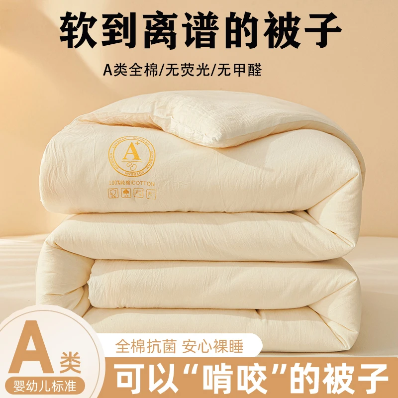 A类母婴纱布大豆蛋白纤维被春秋被冬被被芯四季通用被子学生宿舍