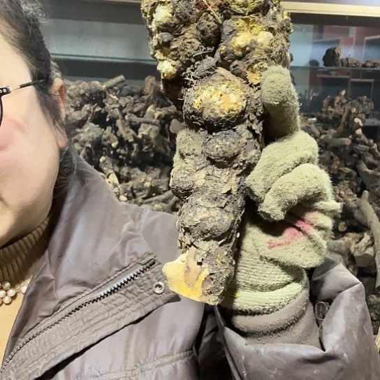 香榧木爺****你火琉璃的毛料baijial