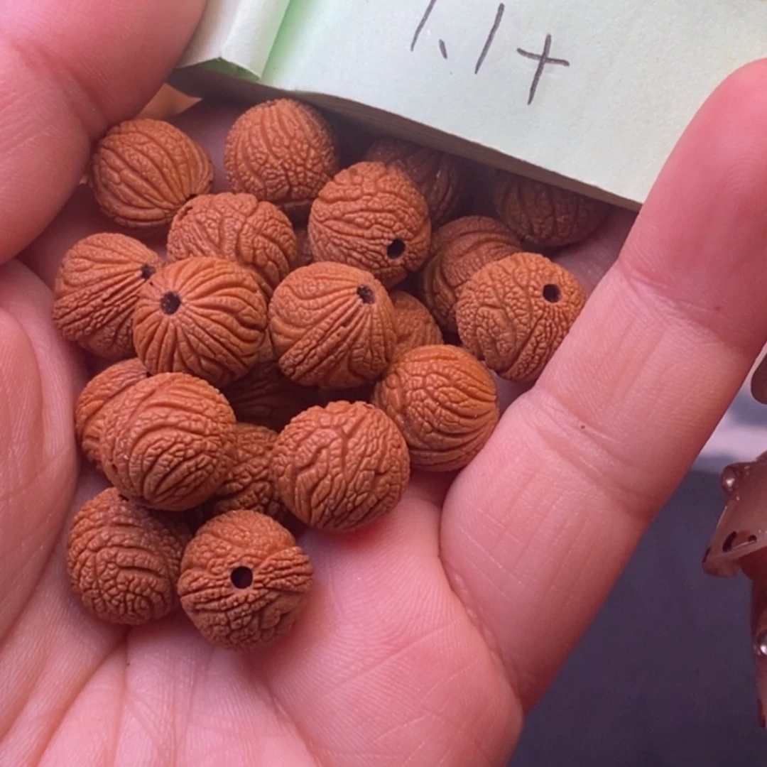 秦岭龙纹桃核21颗