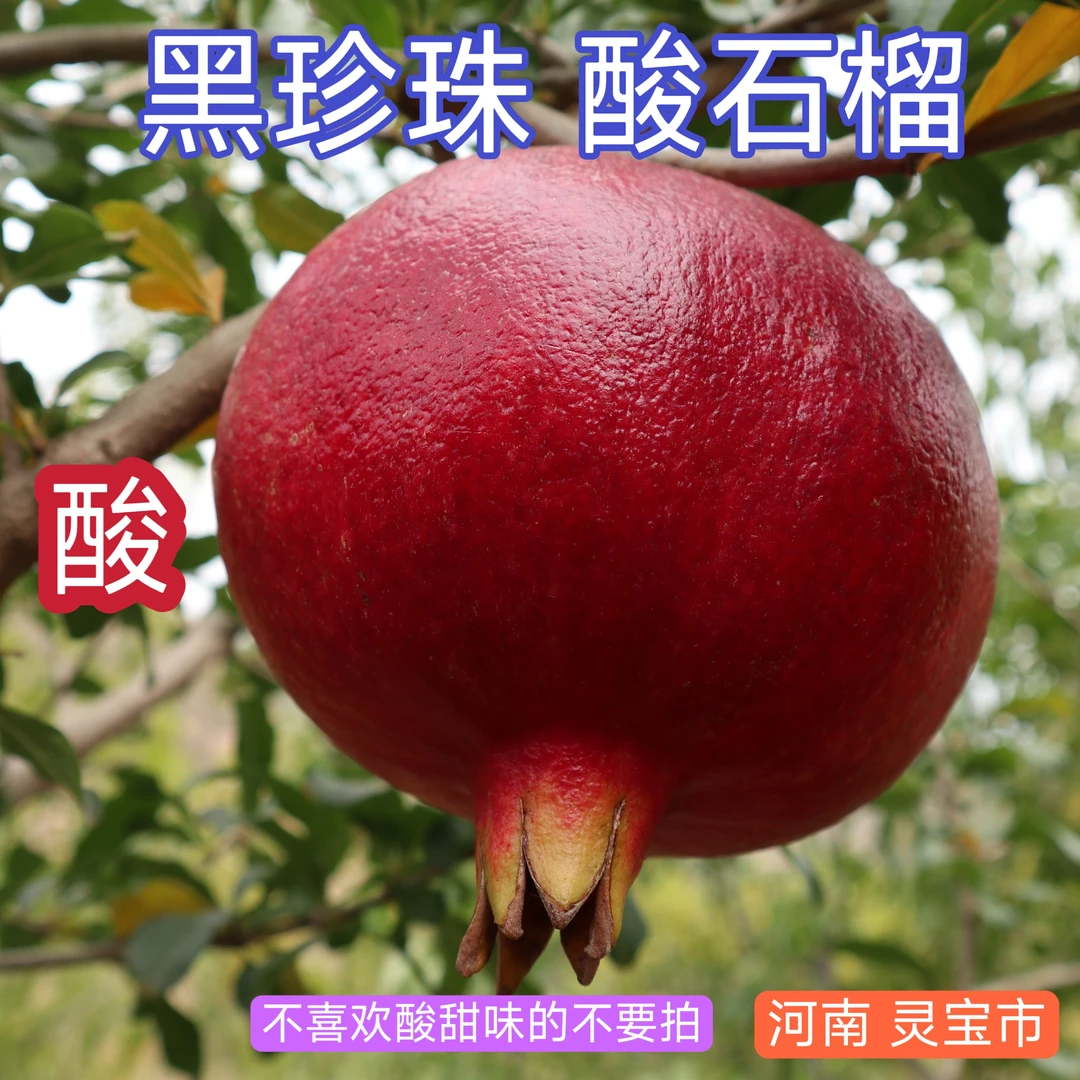 黑珍珠酸甜软籽石榴河南灵宝市酸石榴