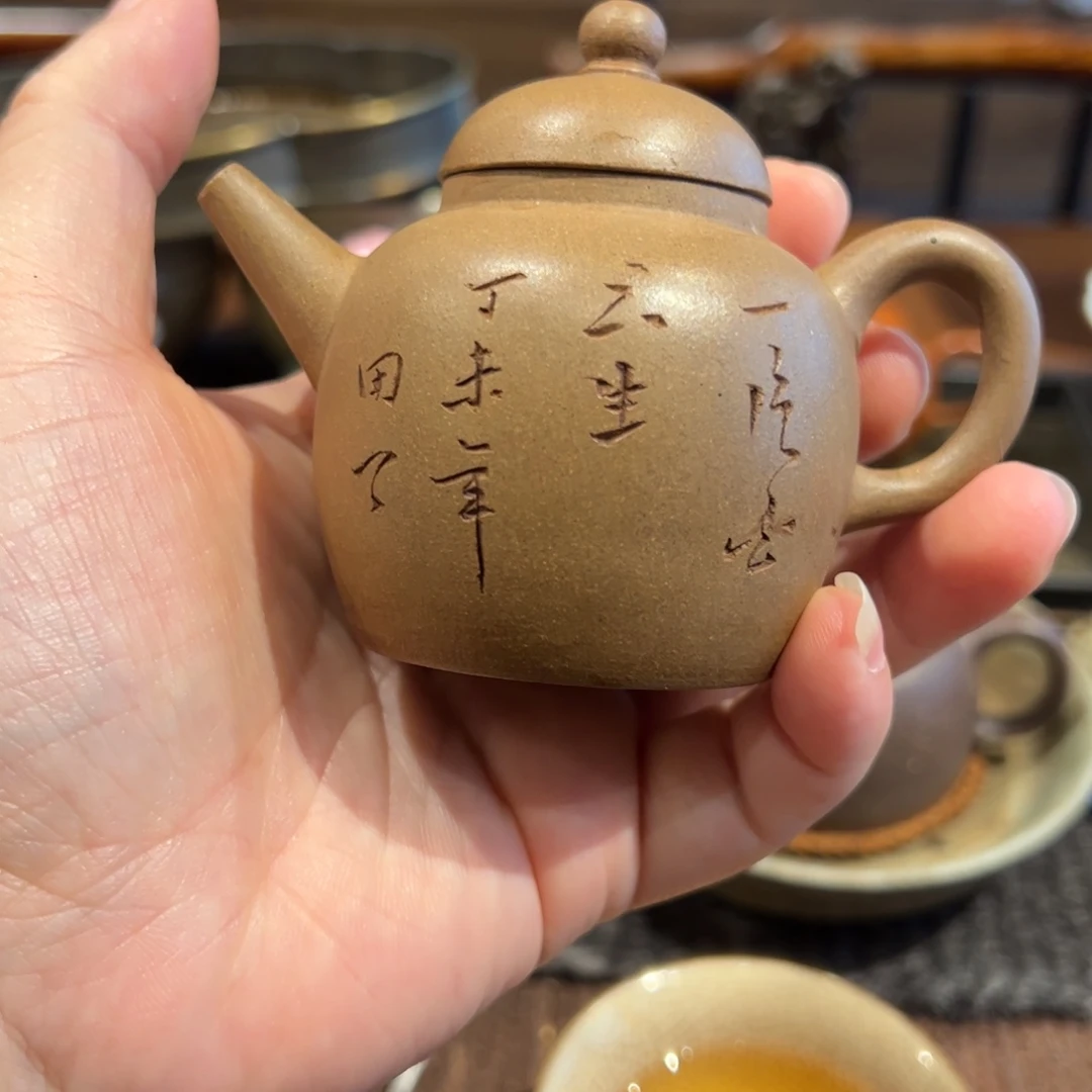 柠***树茶壶紫砂段泥紫砂壶单孔巨轮