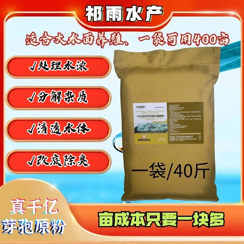 《千亿枯草芽孢原粉》1000亿含量芽孢水体老化水浓水绿有机质多活菌