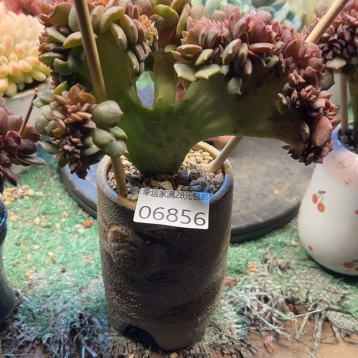 幸运的是我还没遇到过这样