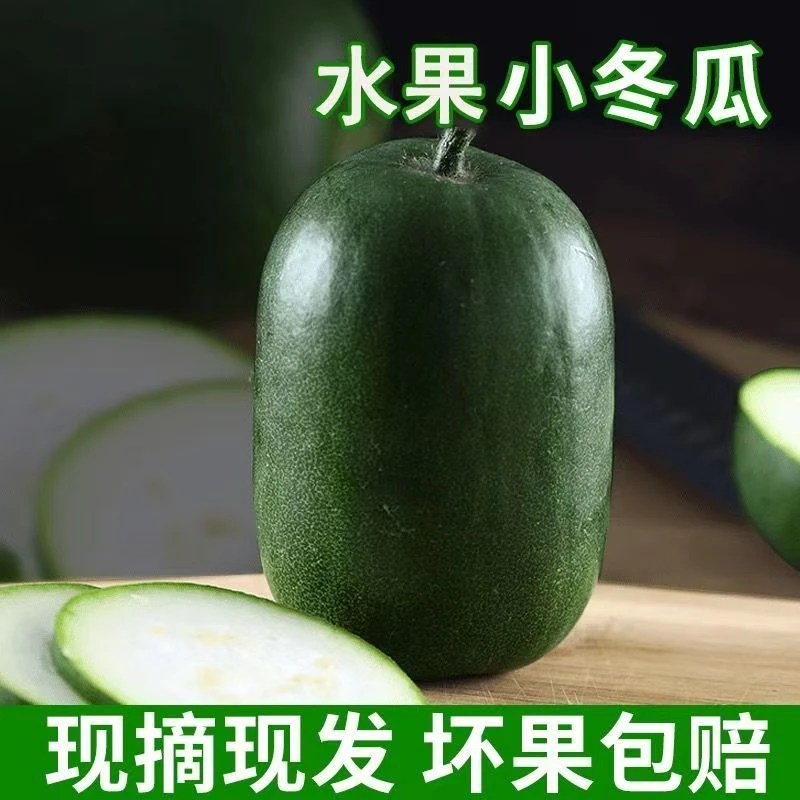 【5斤】山东水果小冬瓜现摘现发迷你水果小冬瓜当季农家自种冬瓜
