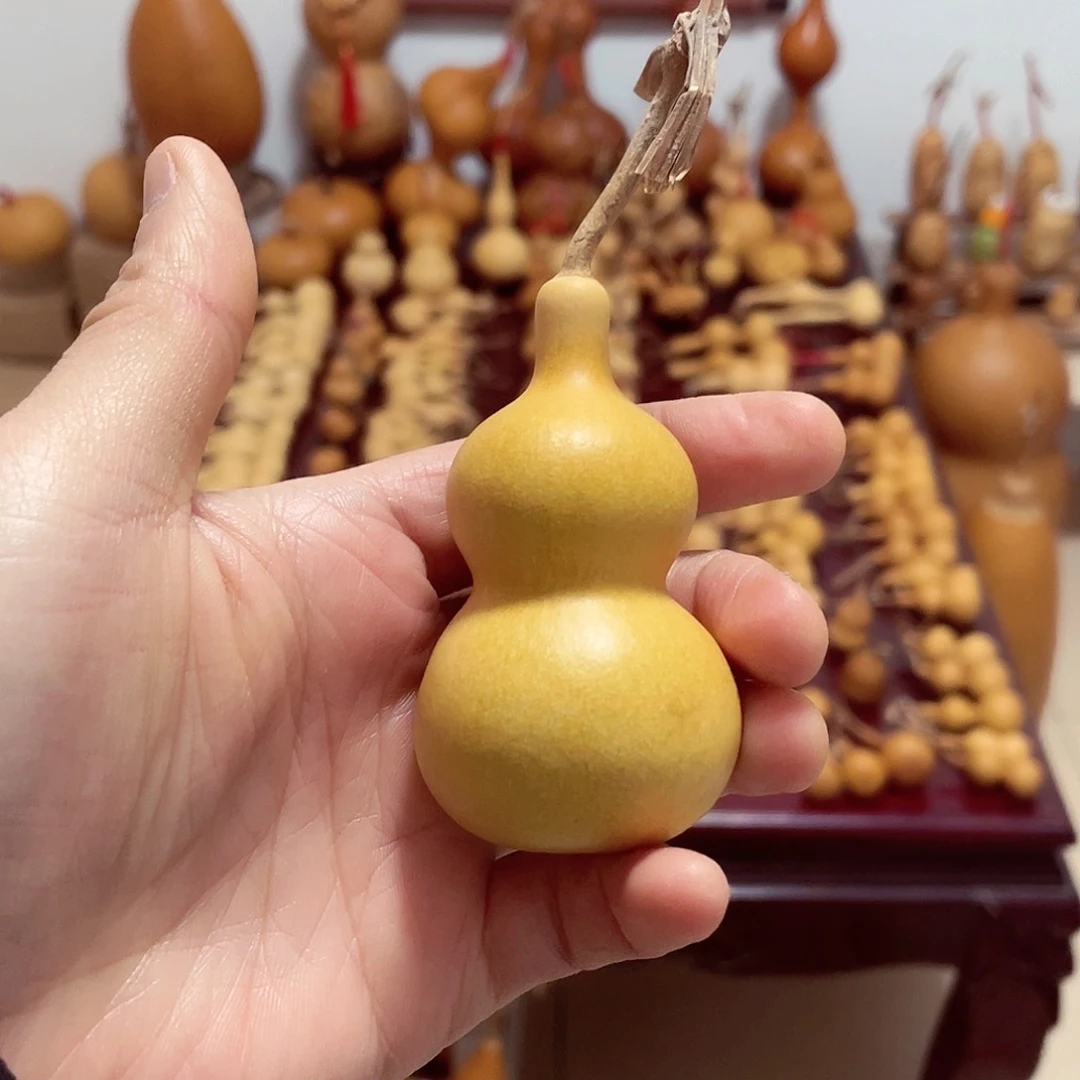 L****南葫芦头的做法是用来做的吗哈哈笑而不腻