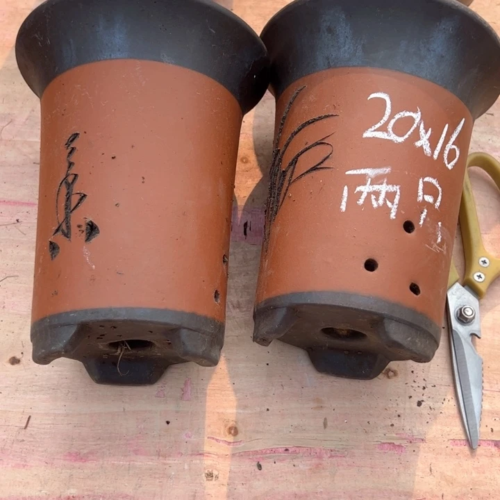 红陶紫砂兰花盆无暇