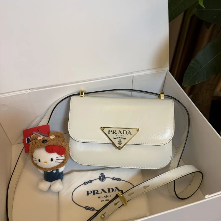 95新/普拉达/单肩包/C8856135181/[251227SSS]