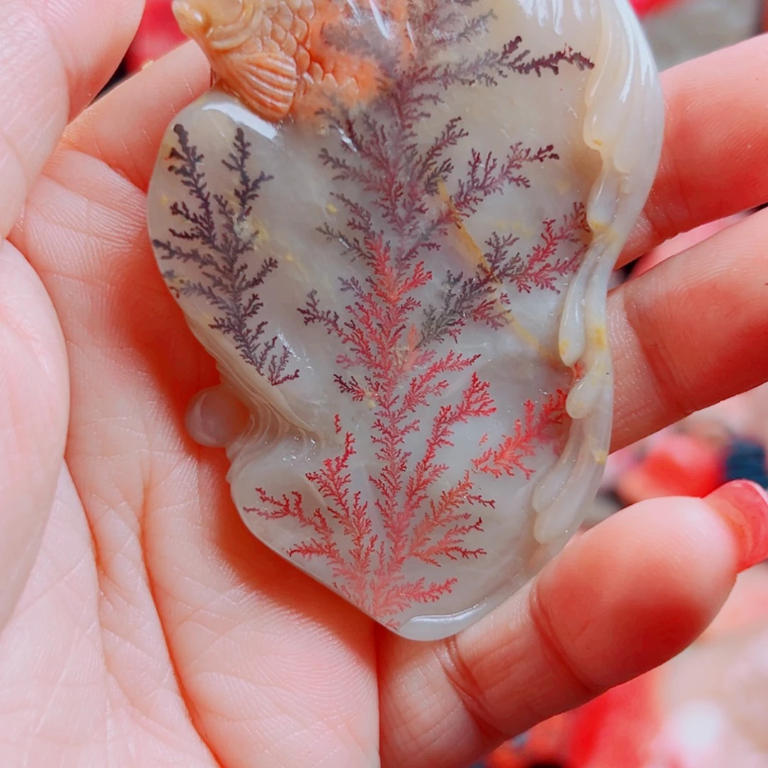 无***马巴林石巴林石水草一个