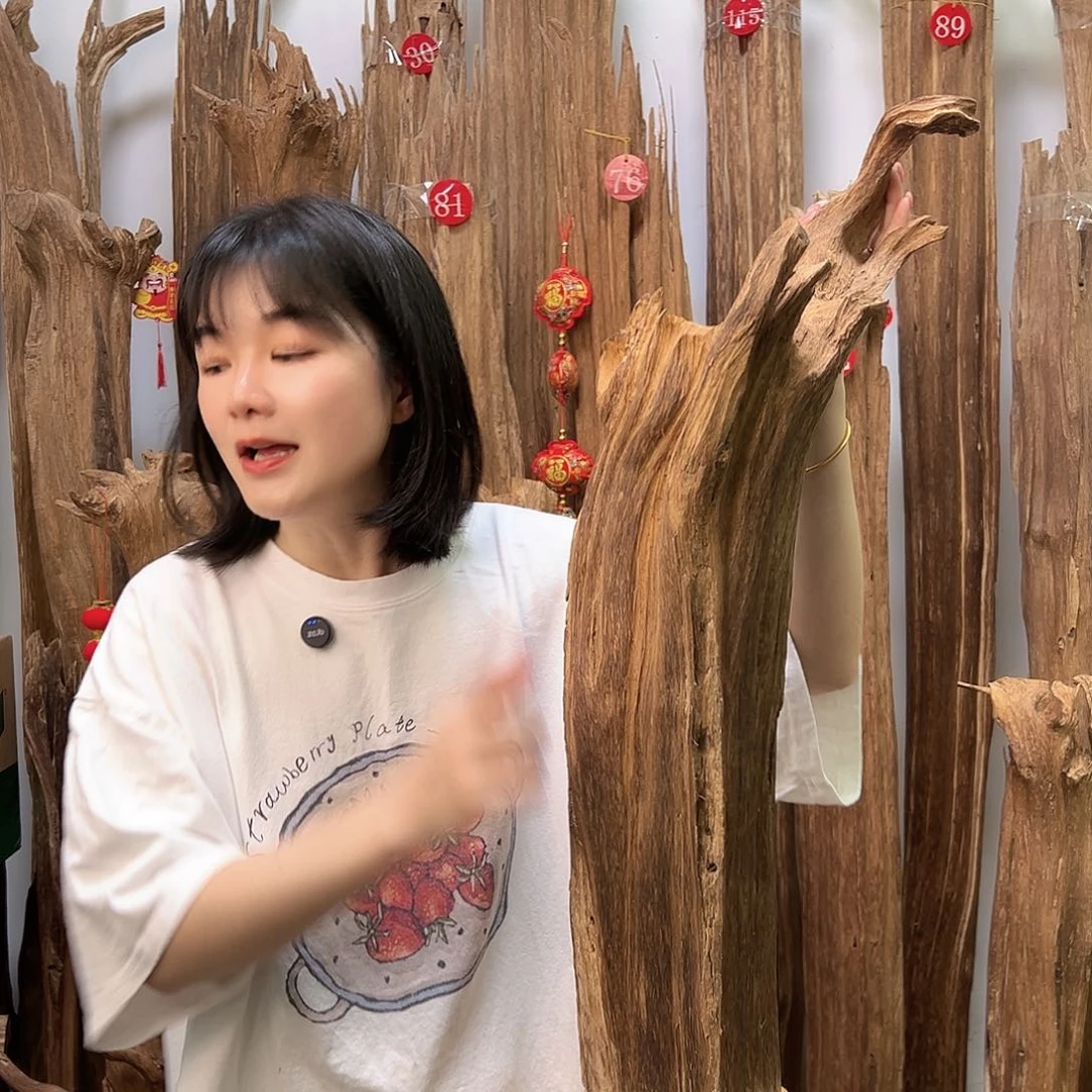 沉香碎屑沉香天然沉香原料熏香料