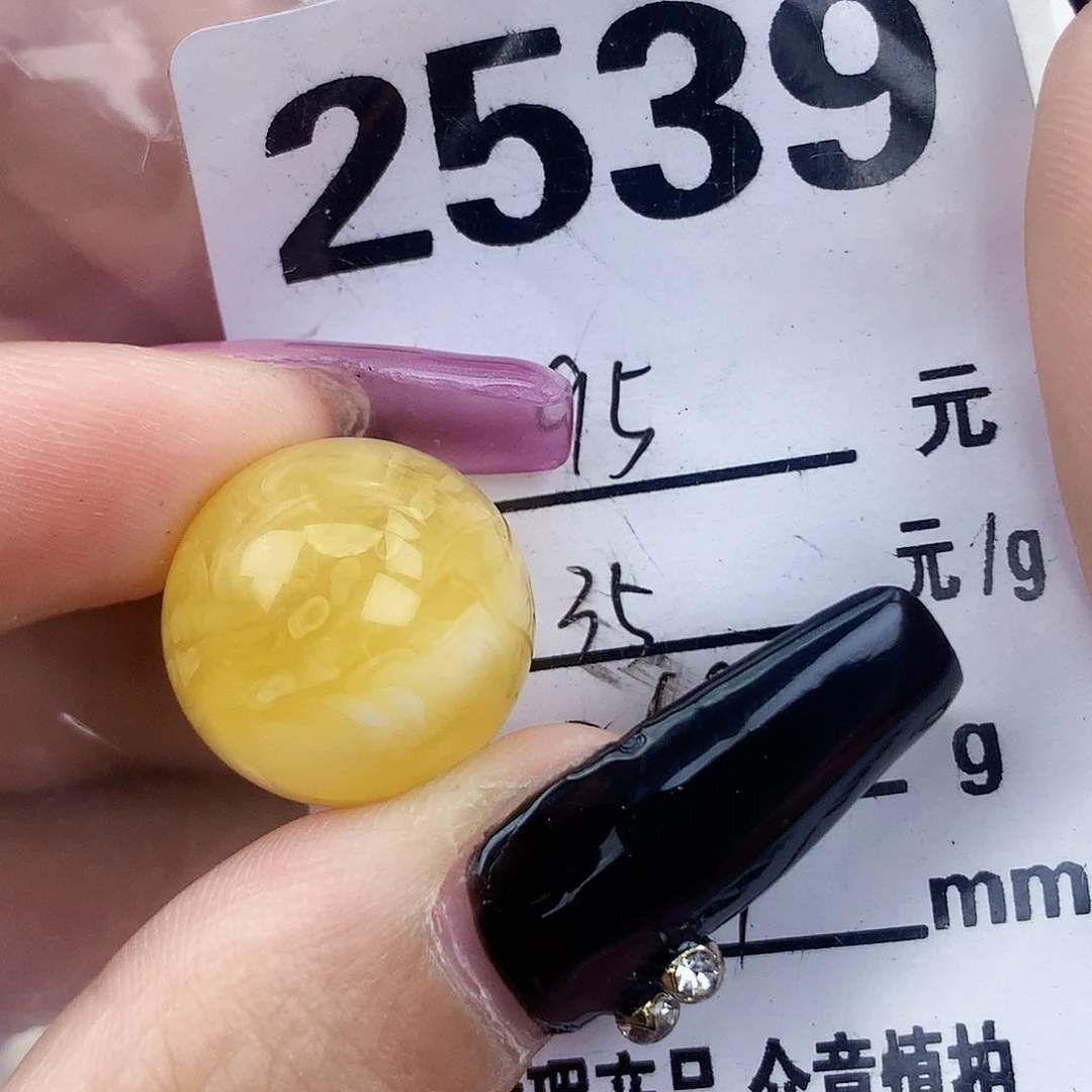 琥珀未镶嵌珠宝奇石17植物