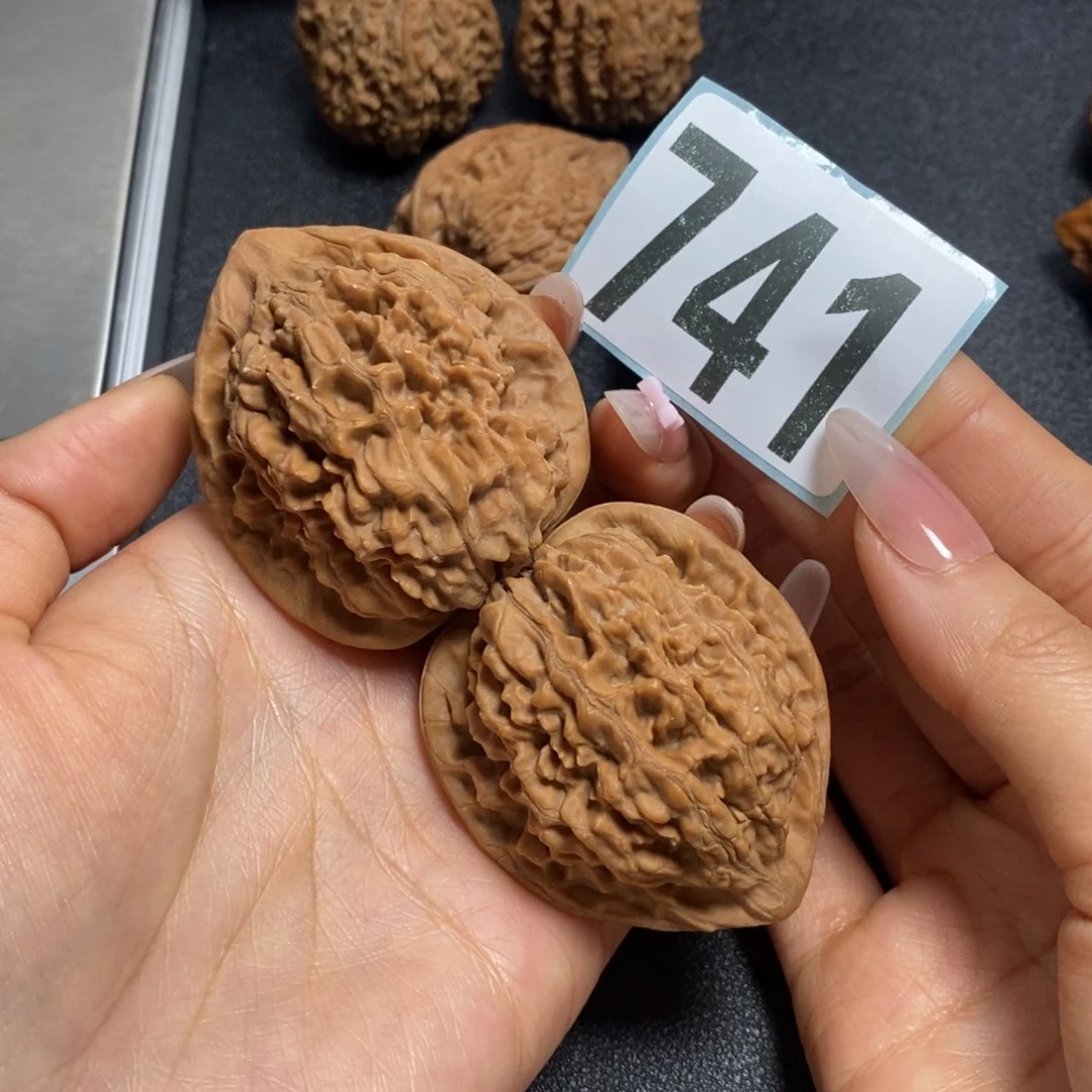 核桃741官帽43尺寸高尖全品