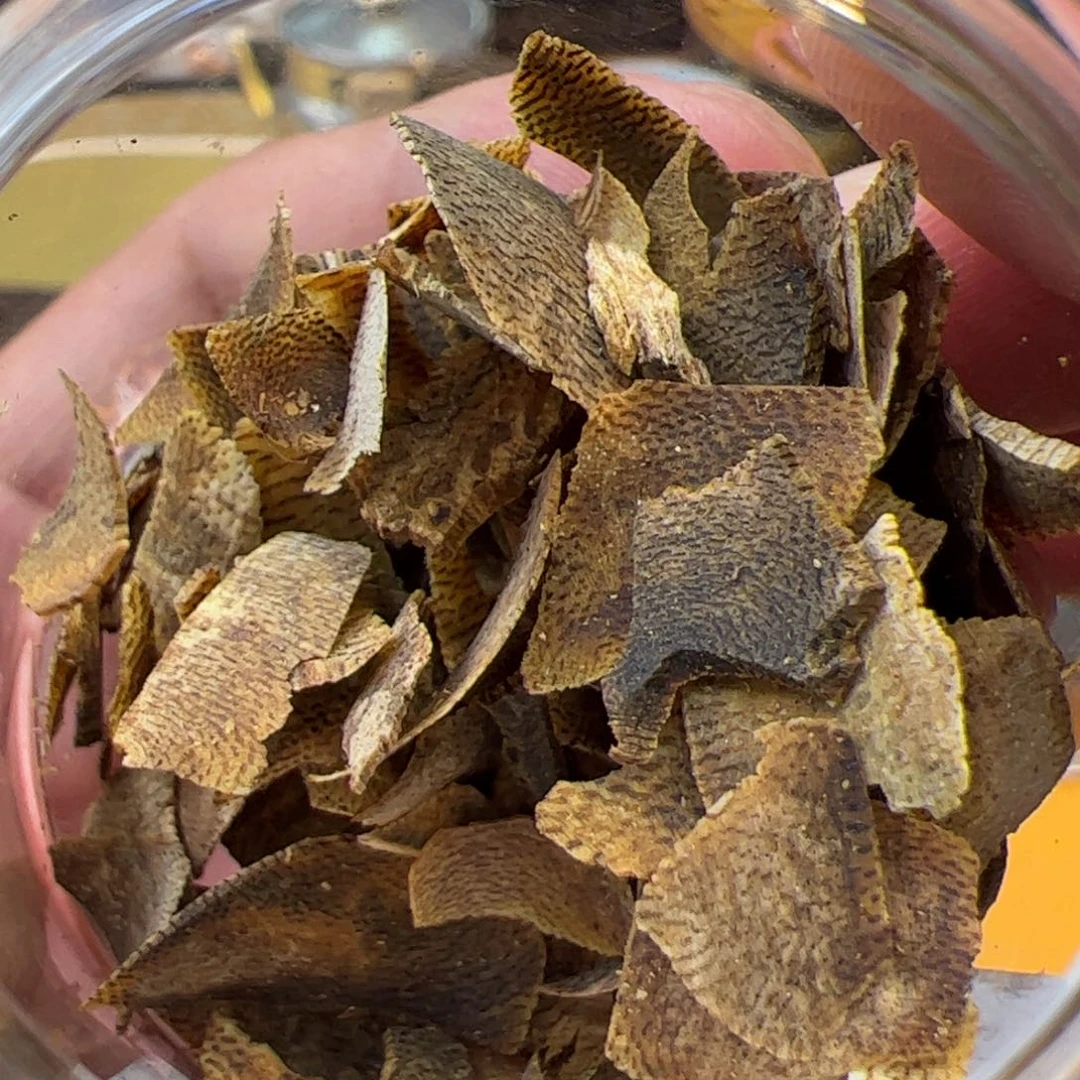 瓷器瓷器瓷器瓷器瓷器