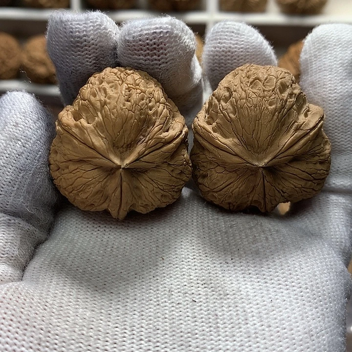 核桃36尺老树三棱17号