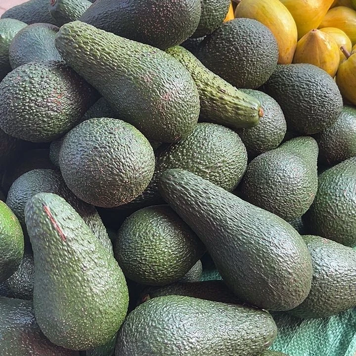 中国大陆牛油果5斤