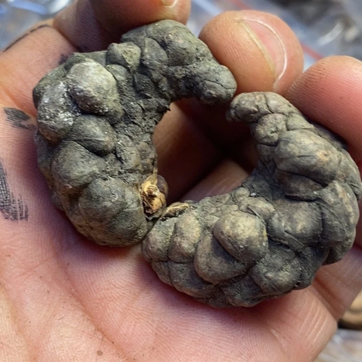 桃核吊坠东北特产49