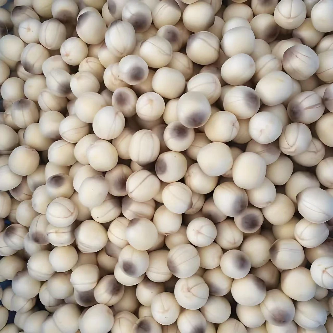 微山湖老莲藕籽可煲汤，蒸，煮/真空包装发货