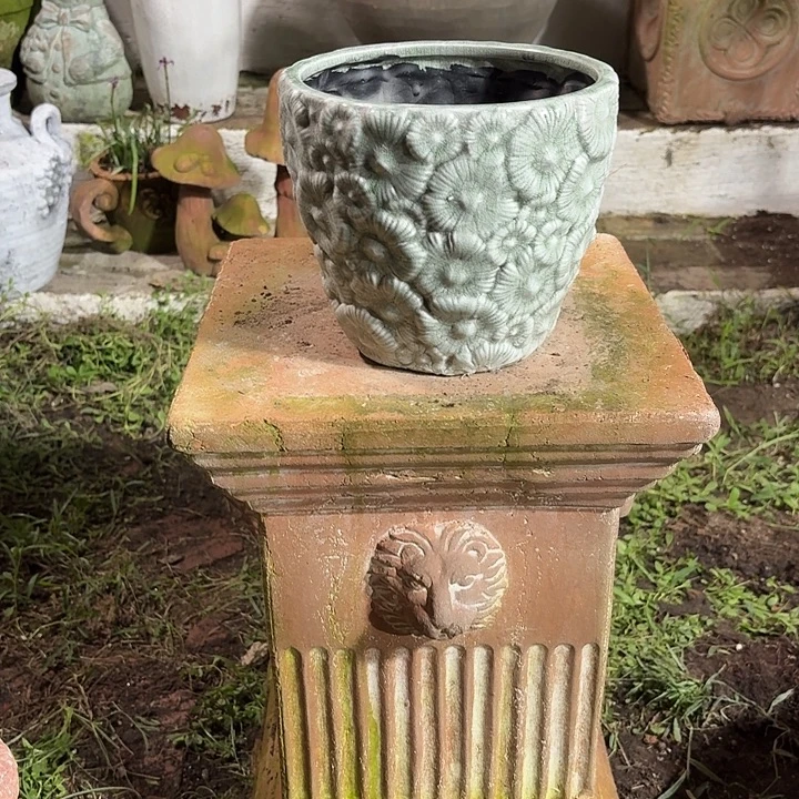 许纯的花房花卉冰裂盆孤品