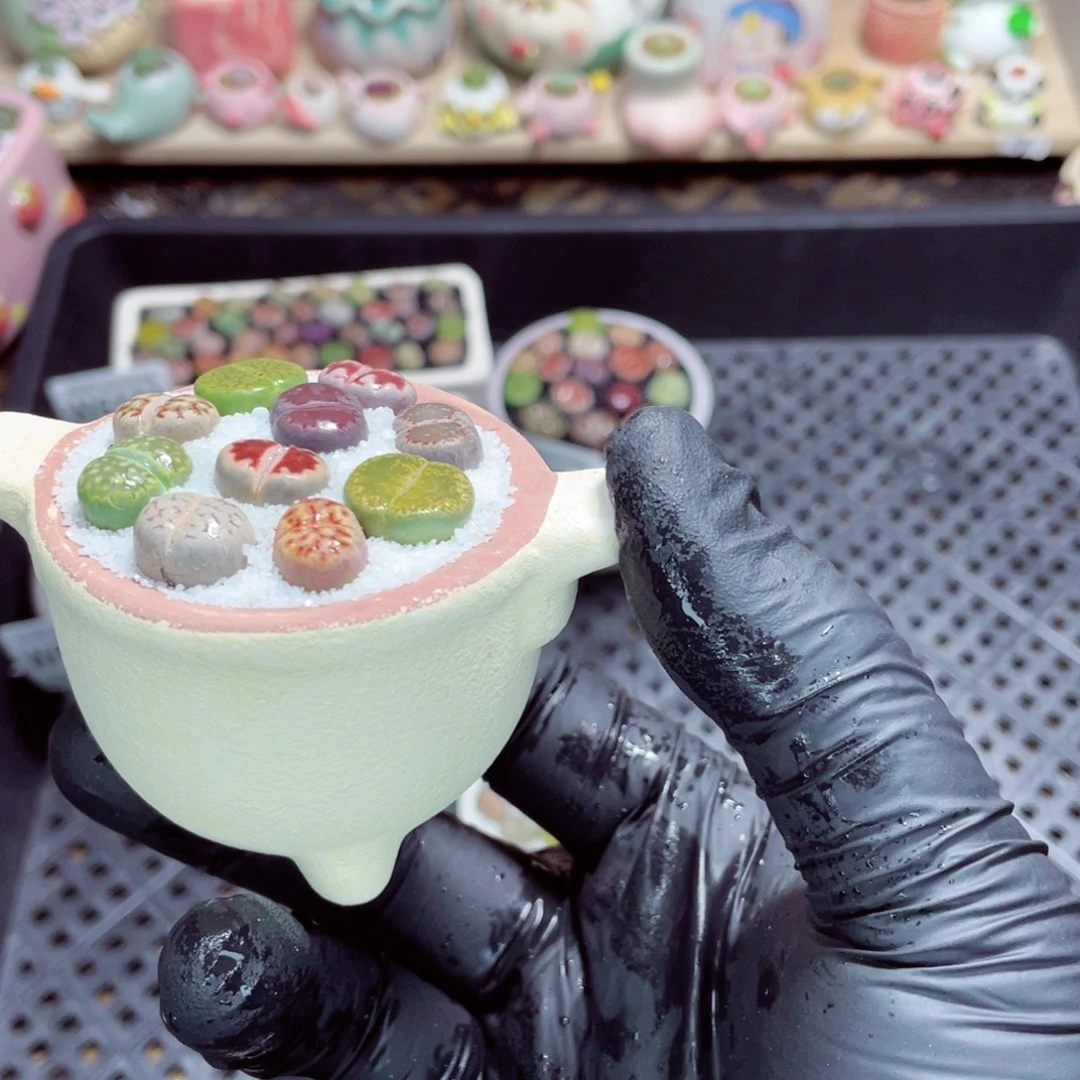 夜间零下地区拍保温箱w6124