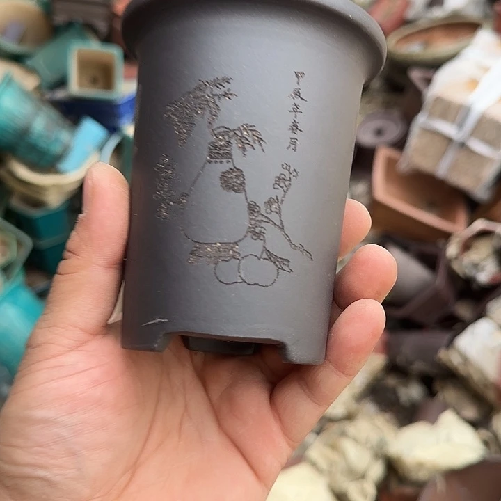 不去看书不用上早了么还