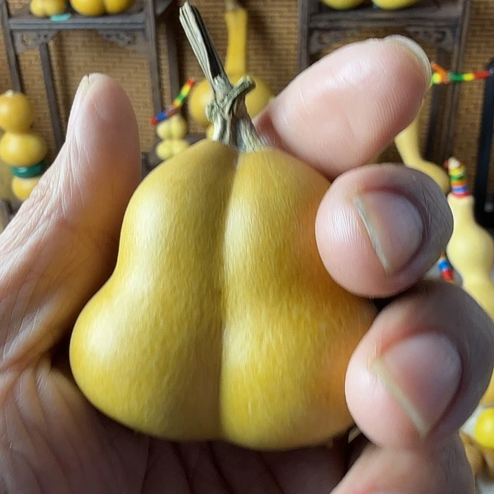 道***一葫芦山是个神奇又奇特