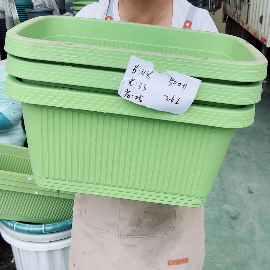 菜盆500#果绿色3个无托