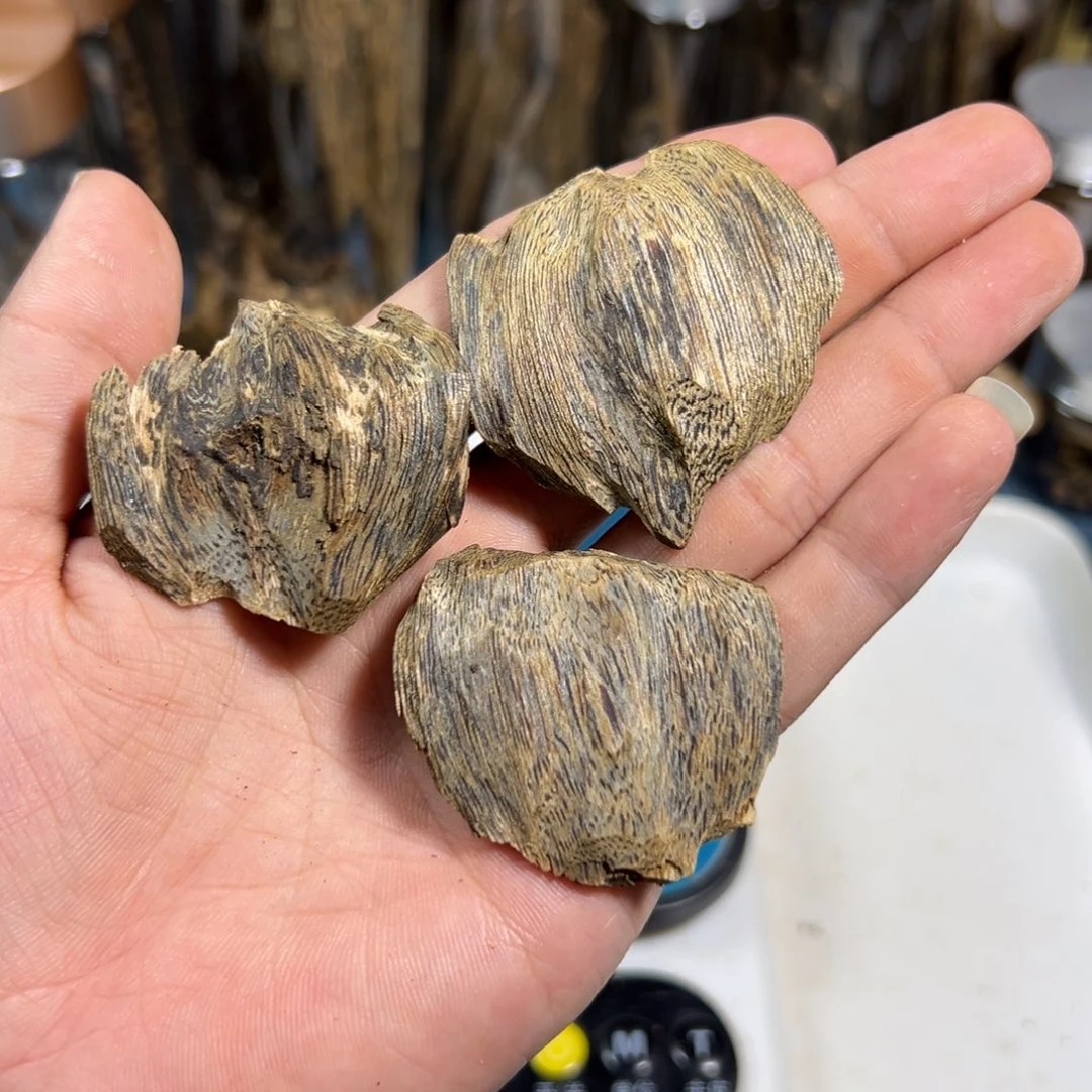 沉香沉香碎屑奇楠虎斑料12克