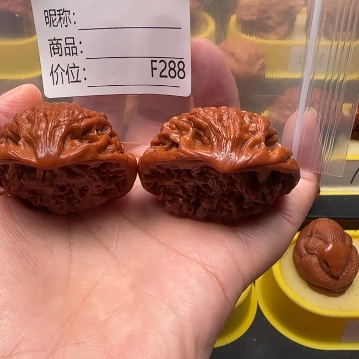 *****核桃蛇王蛇王蛇王46