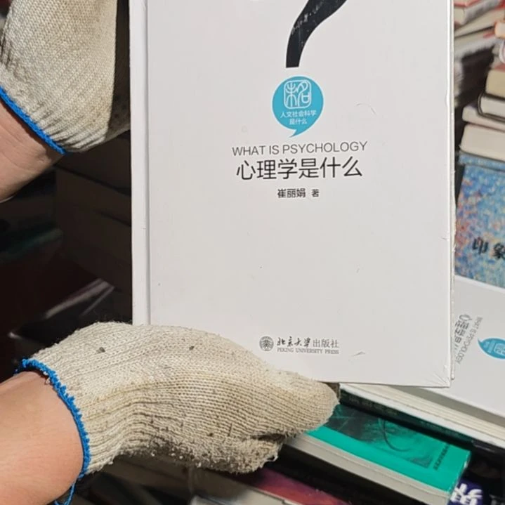 心理学是什么精装塑封