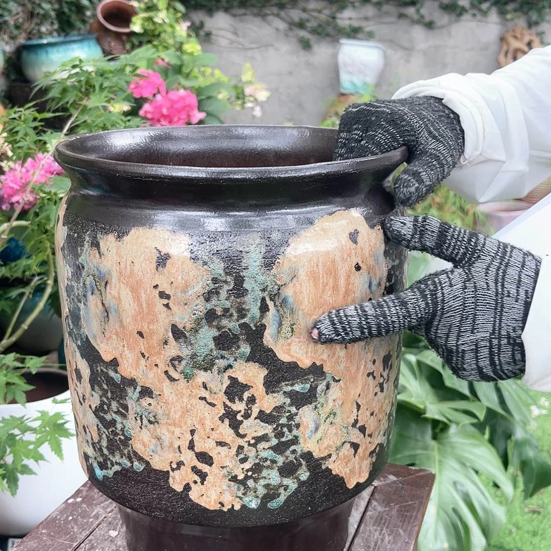 王嫂花盆直播0531-1061