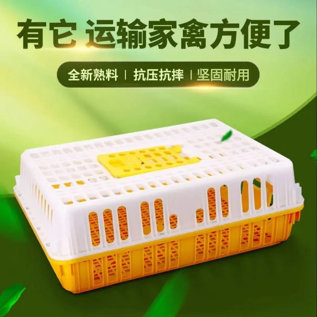 加大加厚鸡笼周转箱家用大号加厚防摔养殖运输塑料鸡鸭鹅兔笼