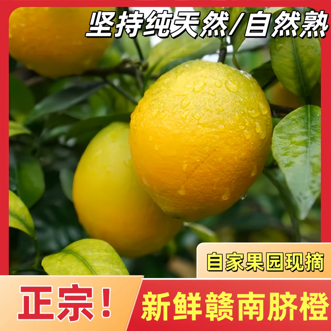 江西赣南脐橙子当季鲜果新鲜水果肉质细嫩多仓发货【ZB】